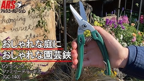 【ARS】Gクラシックファミリーデラックス (GC-140) 束ね切りに