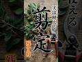 【剪定】実は使える、剪定で残す枝【果樹|庭木】