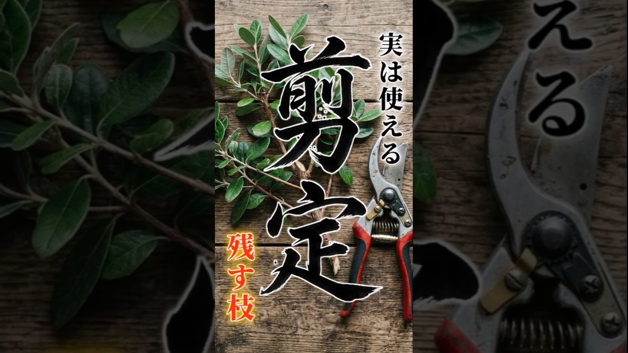 【剪定】実は使える、剪定で残す枝【果樹|庭木】