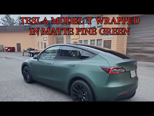 Matte Pine Green : r/TeslaModelY