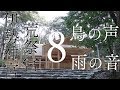 【雨と鳥のさえずり8時間】伊勢神宮の森・聴くだけでチャクラが開く最強スピリチュアル自然音【超パワースポット荒祭宮】Birds Songs and Rain In Ise-Jingu 8hours