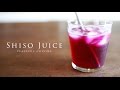 Shiso Juice ☆ 紫蘇ジュースの作り方