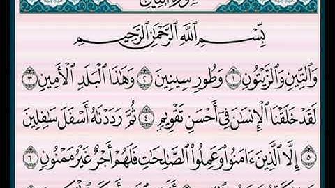 سورة التين سعد الغامدي / surat at-Tin saad el ghamidi