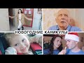 Новогодние Каникулы Молодой Мамы // Тур по Новой Квартире