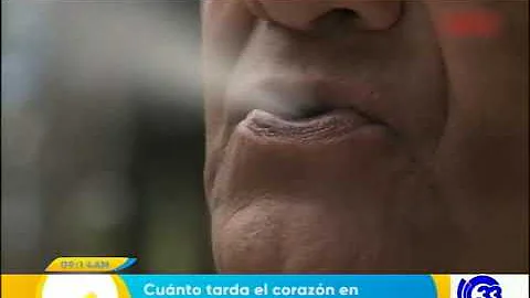 ¿Cuánto tarda el tabaco en dañar los pulmones?