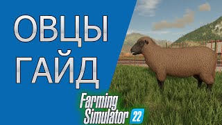 Farming Simulator 22 -Овцы // Как это работает