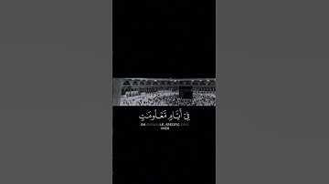 حالات دينيه//تلاوة هادئة//القرآن الكريم//القارئ ماهو المعيقلي #قرآن #القرآن_الكريم # #explore
