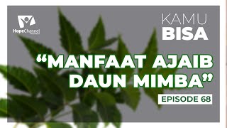 KAMU BISA - Episode 69 "MANFAAT AJAIB DAUN MIMBA"