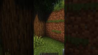 Minecraft secret house 🏠 #minecraft #shorts #minecraftbuilding #minecrafttutorial