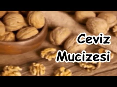 Ceviz Mucizesi