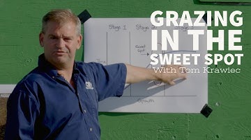 Grazing in the Sweet Spot