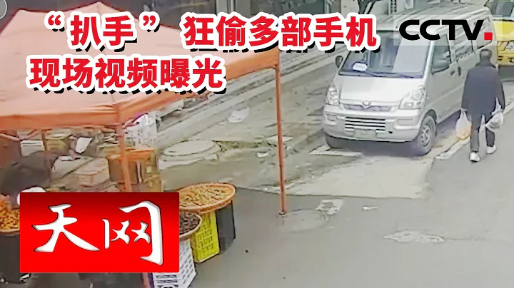 《天网》胆真大 一小时内集市上扒窃案频发 “扒手”狂偷多部手机 现场视频曝光！20230112 | CCTV社会与法 - 天天要闻