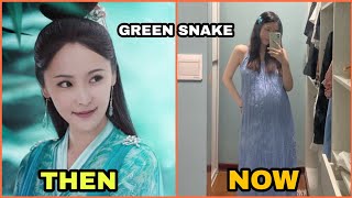 The Destiny of White Snake Cast Then and Now 2021