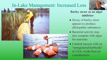 Methods of Algae Control (Part 2) - In-Lake Management: Increased loss