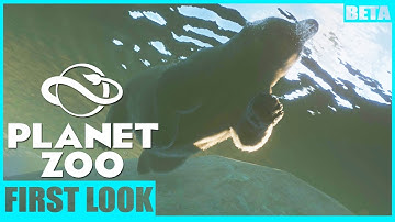 PLANET ZOO BETA FIRST THOUGHTS | PLANET ZOO Is it ANY GOOD?