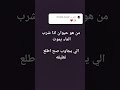 يلا جاوبو يلا جاوبو