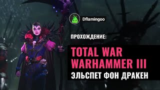 Total War WARHAMMER III - Империя | Эльспет фон Дракен #4