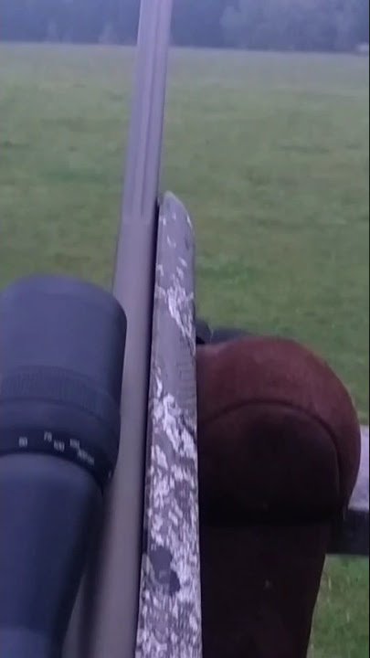 Instant kill hog - 270 win Tikka T3x