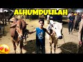 2 Qurbani Ky Janwar Le Liye 😍 | Kitny Ky Liye 🤔 | Brown Arham