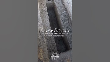من سورة المؤمنون الآية 100 القارئ ماهر المعيقلي