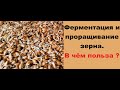 Ферментация и пророщенное зерно. В чём польза? Как приготовить?Fermentation and sprouted grains.