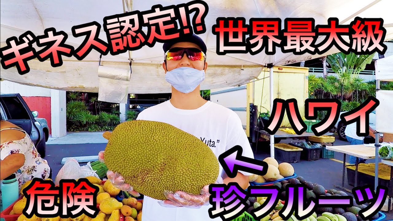 果物 cyaro 公式】808青果店 (@808seikaten) / Posts / X 果物