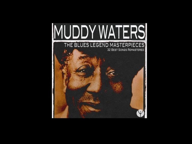 Muddy Waters - Louisiana Blues