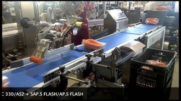 GWX.C 330 + AS2 + FLASH SAP.S