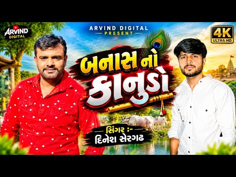 બનાસ નો કાનુડો || Rakesh Barot|| Dinesh shergarh || Kanudo Song Dj Ramix 