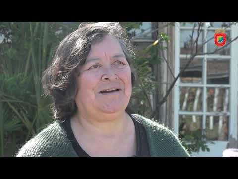 María Angélica Rojas Flores, Artesana en tapices y calabazas Peralillo 2020