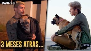 24 horas con un perro que nadie quiso adoptar