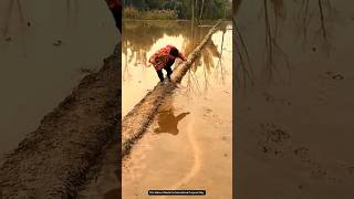 This Man Accidentally Slip In Mud.