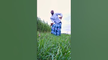 nashi le nashi le Kumar dulha nashi le #bangla #trending #vairal #video #short