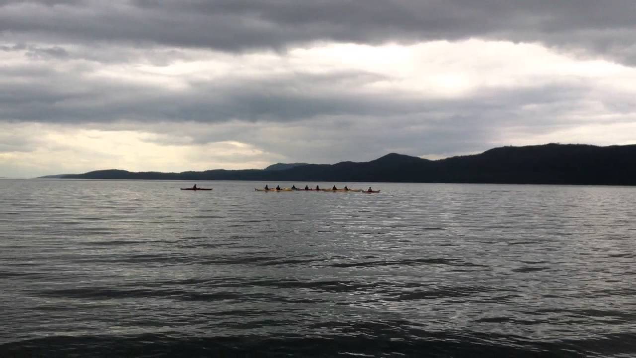 Sunset Paddle with Orcas | Orca Camp Vancouver Island