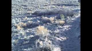 Welcome To Nada Hermitage In Crestone, Colorado