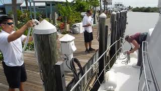 Docking - Slide forward for lunch