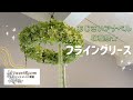 #34【アナベル収穫祭♡】フライングリースの作り方/ハンドメイド