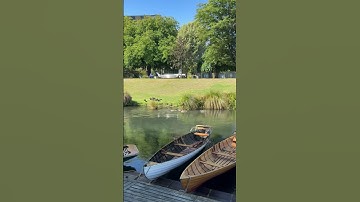 Avon River Ducks🦆 #christchurch #ytshorts #newzealand #shorts