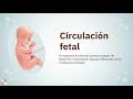 "Asfixia perinatal ¿Qué tienen los gases de cordón para decirnos"