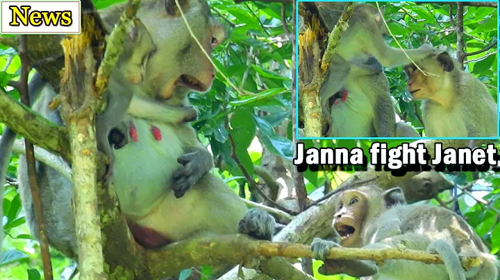 Troublemaker 1st Janet steal milk,Janna angry hite...