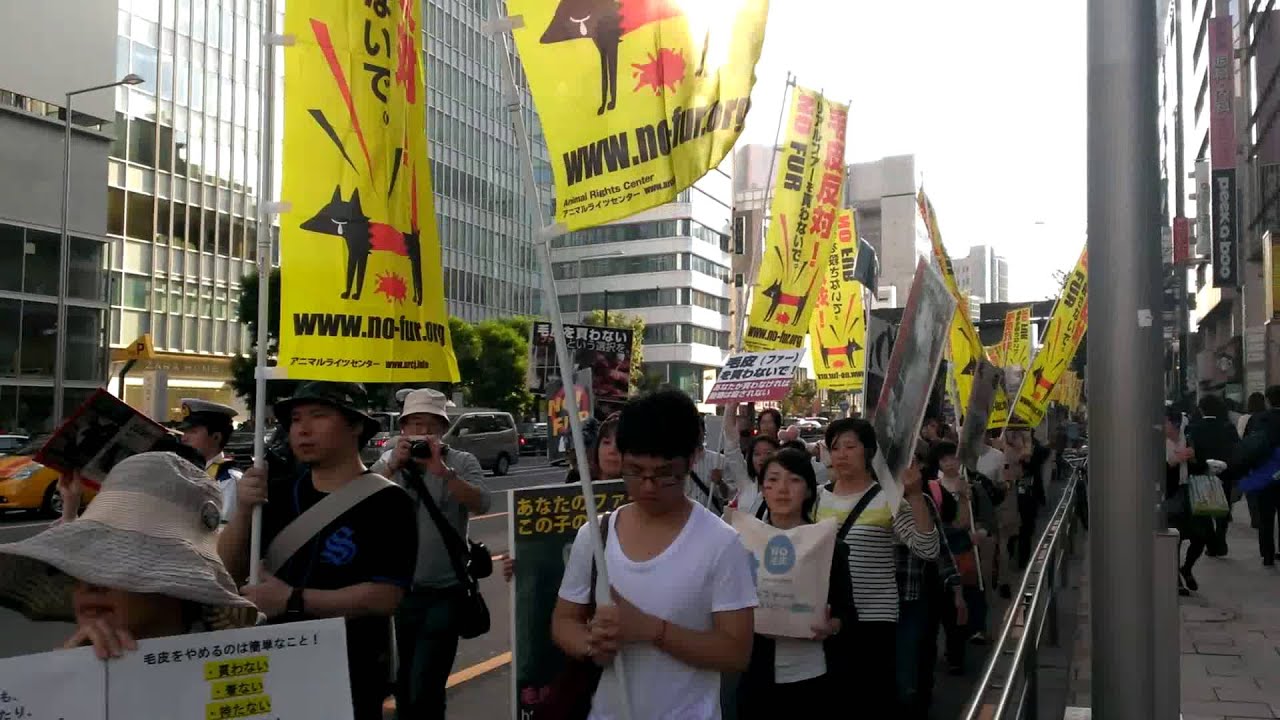 犬山玉姬 2014年東京毛皮反対デモ行進！
