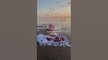 سلام عليكم بما صبرتم فنعم عقبى الدار ) 🌸❤ سورة الرعد 💙🌿القارئ احمد النفيس 💗🍃 #short #quran #allah 💜