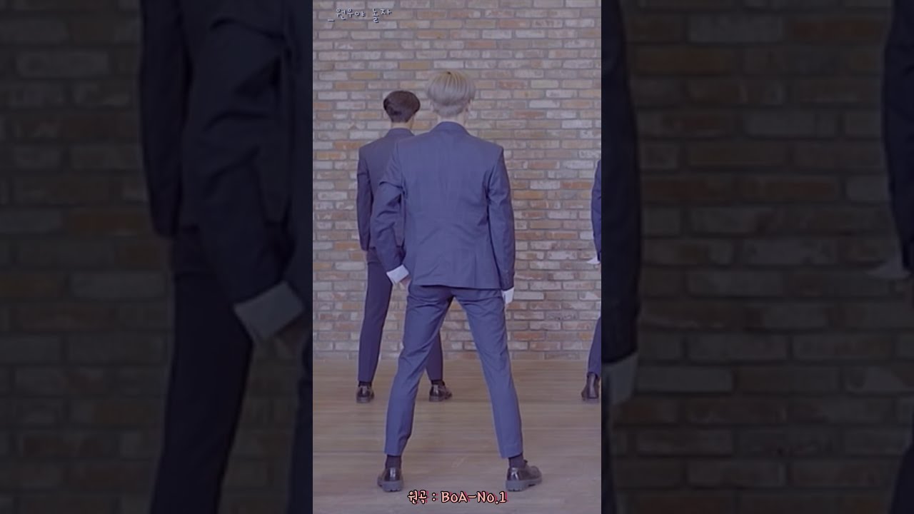 [세븐틴/원우] 내가 좋아하는 원우의 순간들 #1 (커버곡 안무 연습 영상 편)