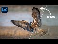 This LIGHTROOM Tool Makes Your Editing BETTER!