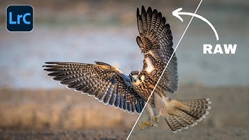 This LIGHTROOM Tool Makes Your Editing BETTER!