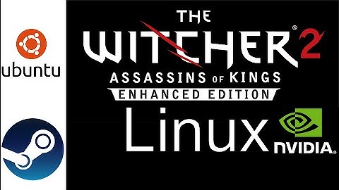 Witcher 2  SteamOS/Linux GTX 750 Ti performance
