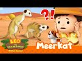 The MEERKATS lost their HOME?! 😱🏠 | Meerkat | Leo the Wildlife Ranger | Kids Cartoons | Animals