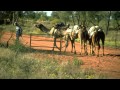 Crossing Australia in bicicletta-Sergio Borroni e Gherardo Gambaro