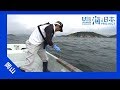 2017年 #19 カキ殻で海の環境を改善！ | 海と日本PROJECT in 岡山