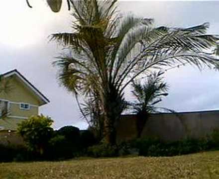 Honeybee CP2 HBK2 King 2 Hybrid - Ant View